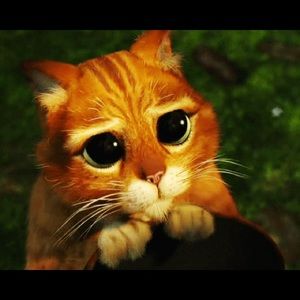 Meet your Posher, Paulina